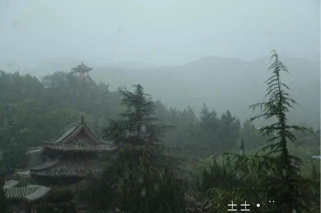 1530177992100565.jpg 1.jpg