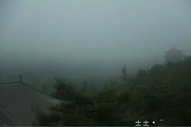 1530178122684033.jpg 1.jpg