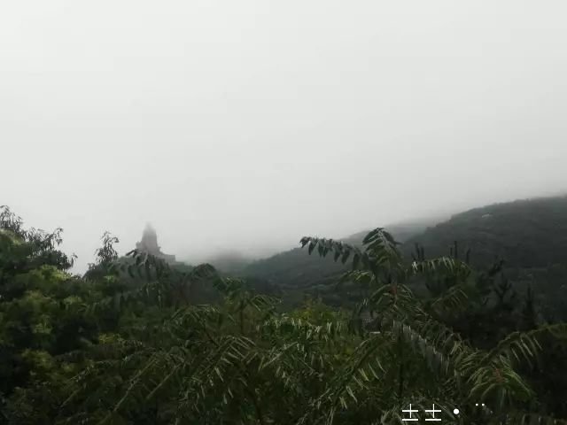 1530178046567761.jpg 1.jpg