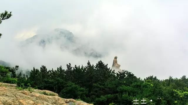 1530178071351999.jpg 1.jpg