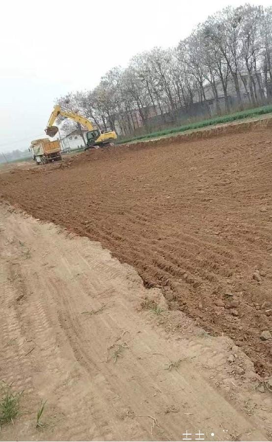 野蛮推青强行毁苗再现 河北省元氏县数千万元政府工程涉嫌未招标先施工 野蛮推青强行毁苗再现 河北省元氏县数千万元政府工程涉嫌未招标先施工